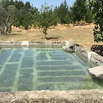 Arpuro