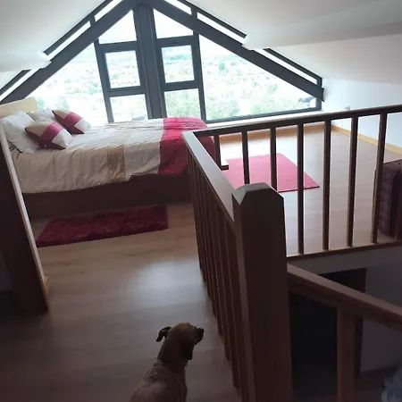 Arpuro Casa vacanze Gouveia (Guarda)
