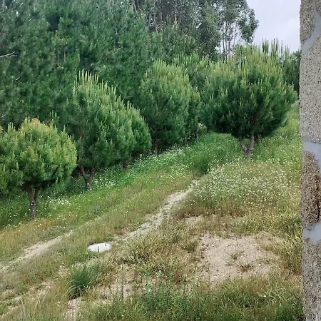 Arpuro Casa vacanze