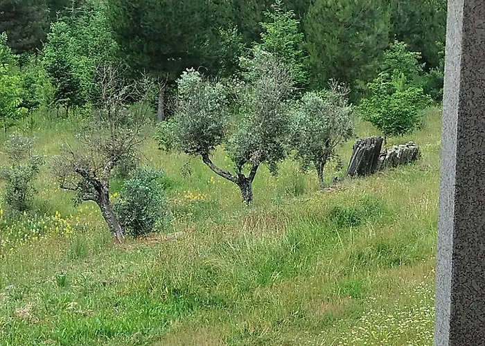 بيت للعطل Arpuro غويفيا