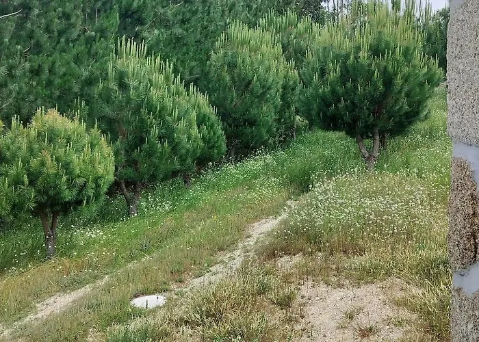 Arpuro بيت للعطل