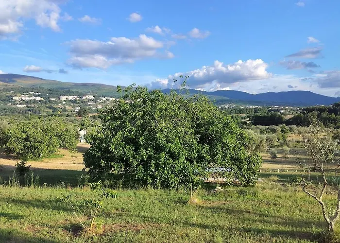 Arpuro * غويفيا